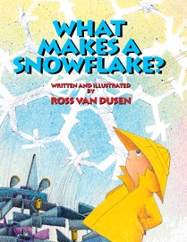 VanDusen-Snowflake-cover